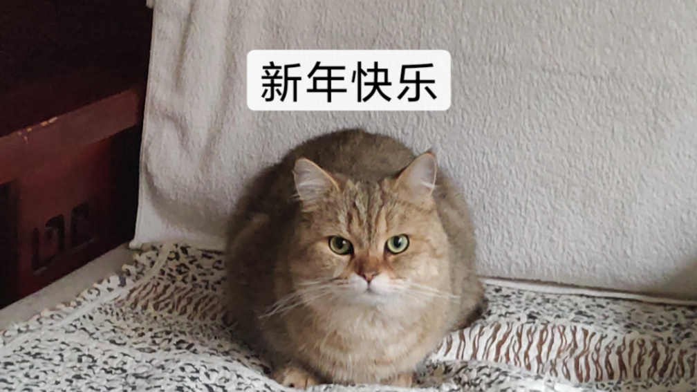 没什么,新年快乐